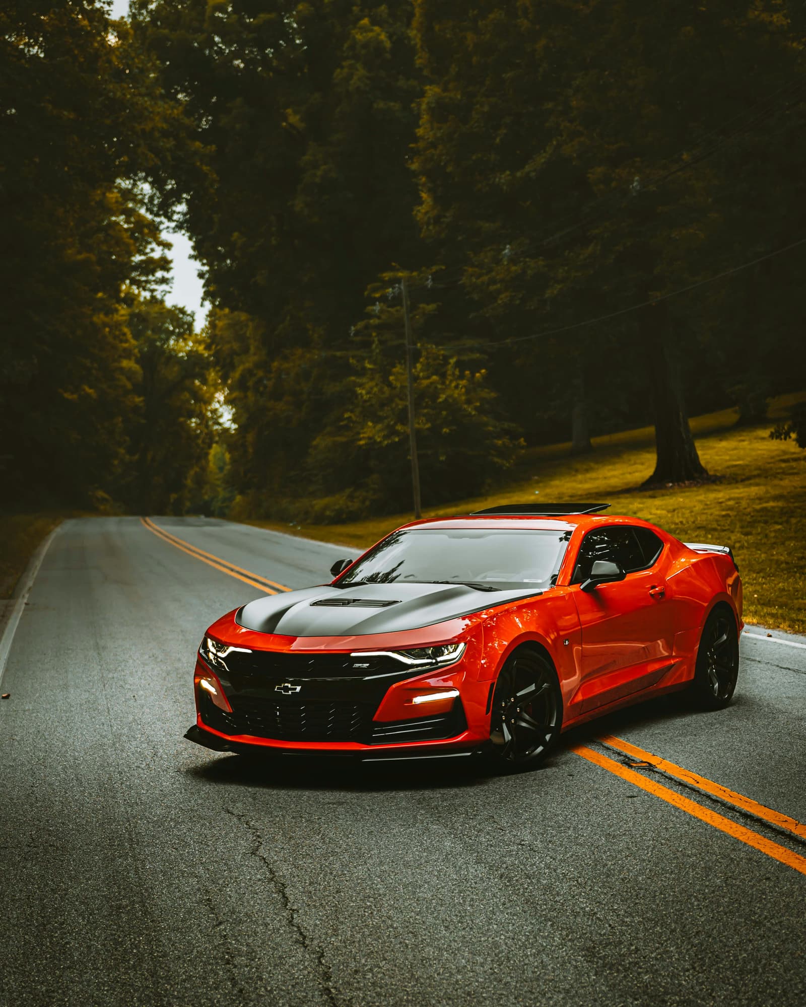 Red Chevrolet Camaro sports car on a tree-lined road
