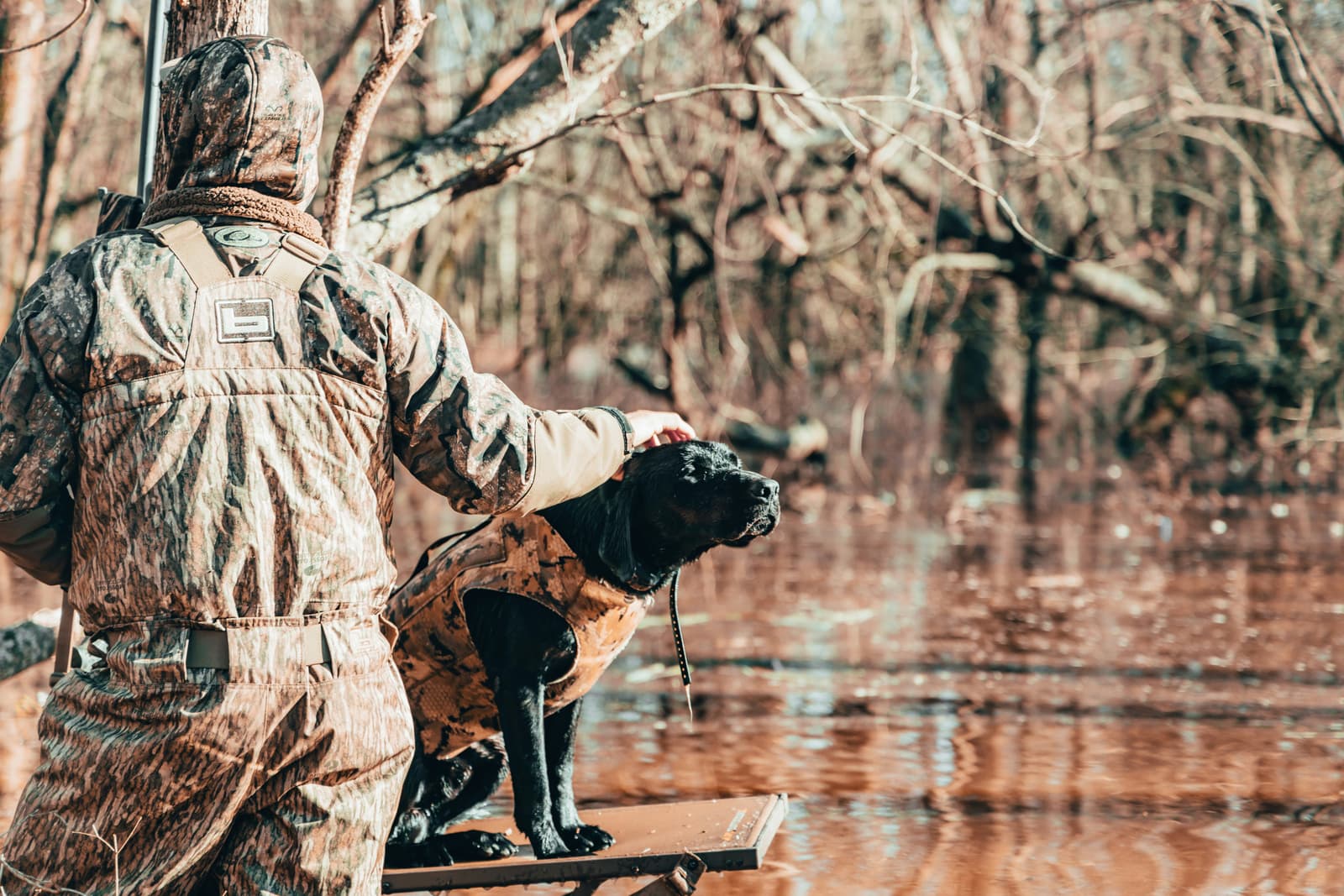 Duck hunter in camouflage with black lab retriever on a boat in a swamp