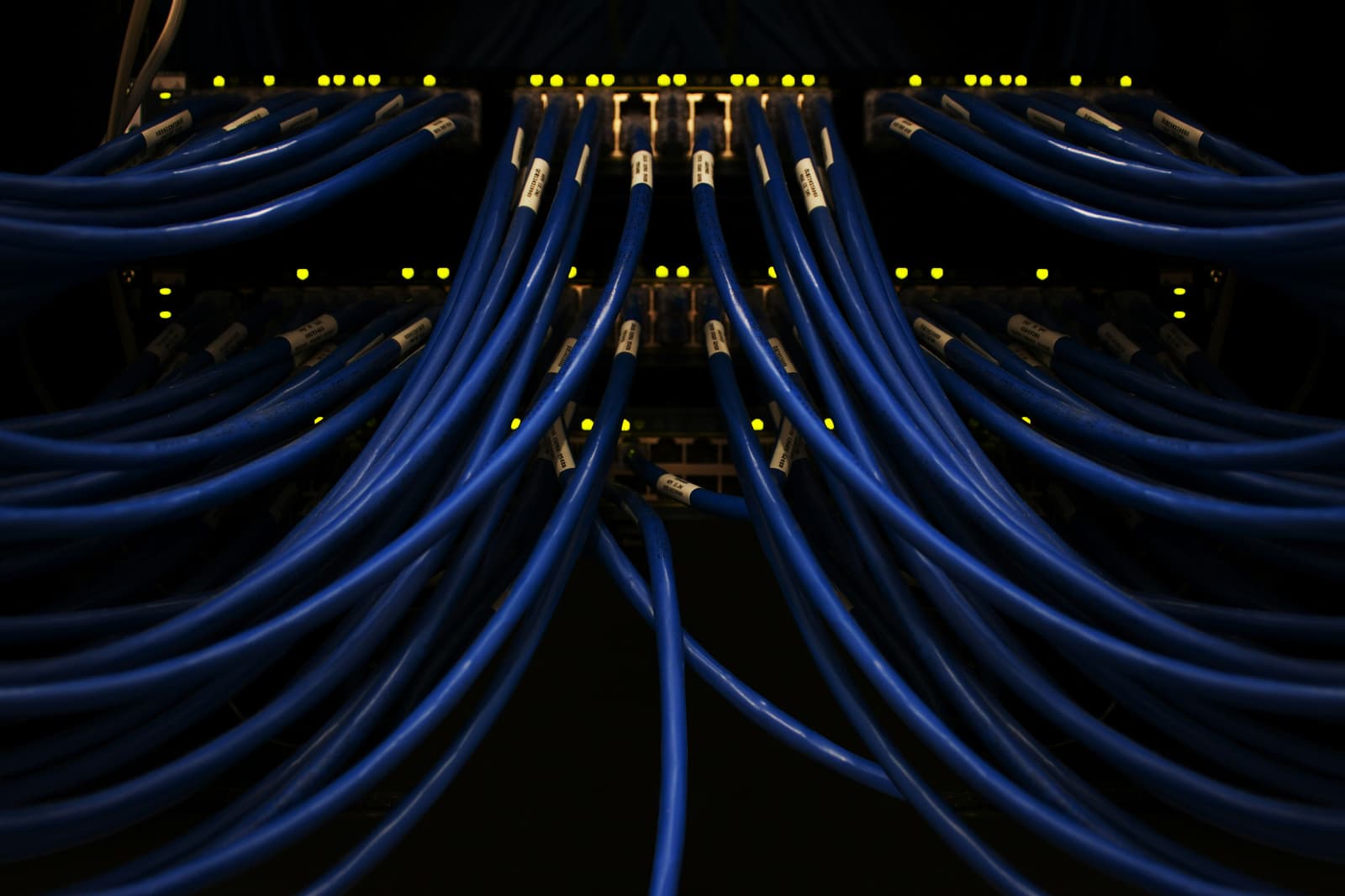 Blue network cables connected to server infrastructure