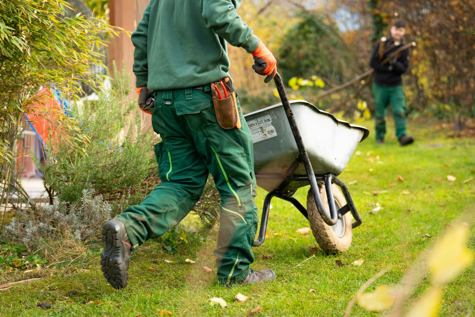 Landscaper with wheelbarrow working in a garden